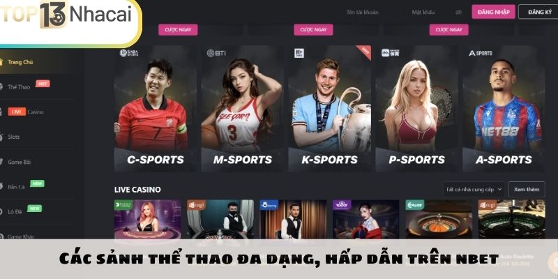 Sảnh thể thao giải trí đẳng cấp và chuyên nghiệp