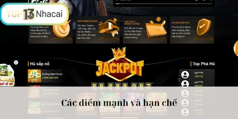 Các điểm mạnh và hạn chế