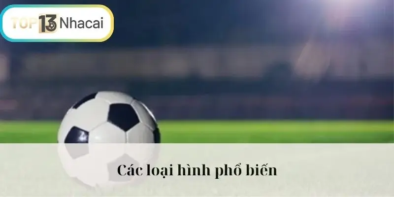 Các loại hình phổ biến