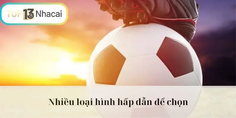 Nhiều loại hình hấp dẫn để chọn