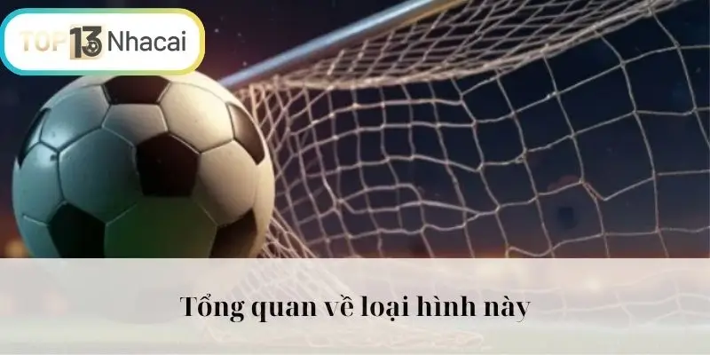 Tổng quan về loại hình này