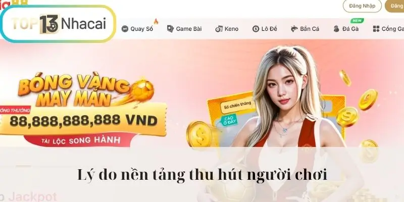 Lý do nền tảng thu hút